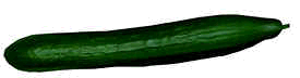 agurk.gif (7273 bytes)