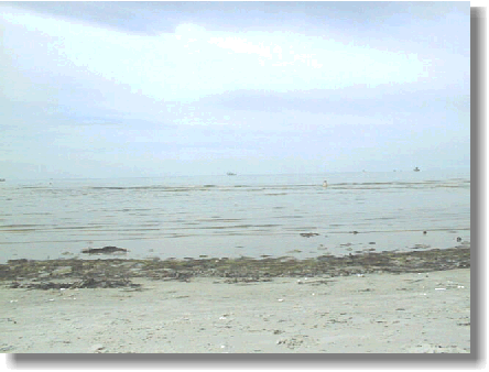 strand.gif (65245 bytes)