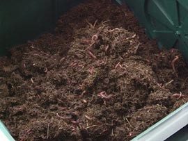 orme.jpg (20612 bytes)