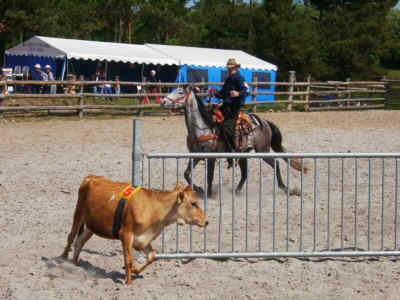 WESTERN-STAEVNE 2002-05-26-F.jpg (17523 bytes)