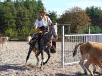 09250060.jpg (8356 bytes)